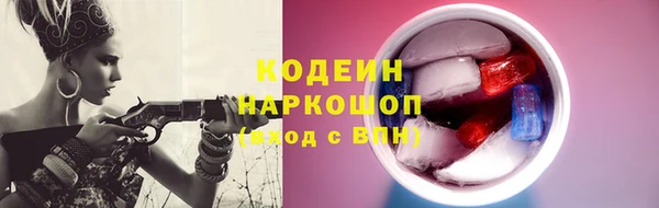 прущие грибы Верхний Тагил