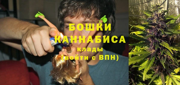 PSILOCYBIN Бронницы