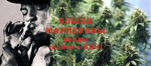 PSILOCYBIN Бронницы