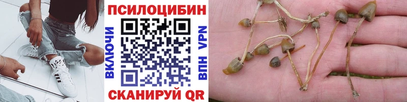 Галлюциногенные грибы GOLDEN TEACHER  Динская 